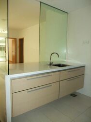 8 @ Mount Sophia (D9), Condominium #514304361